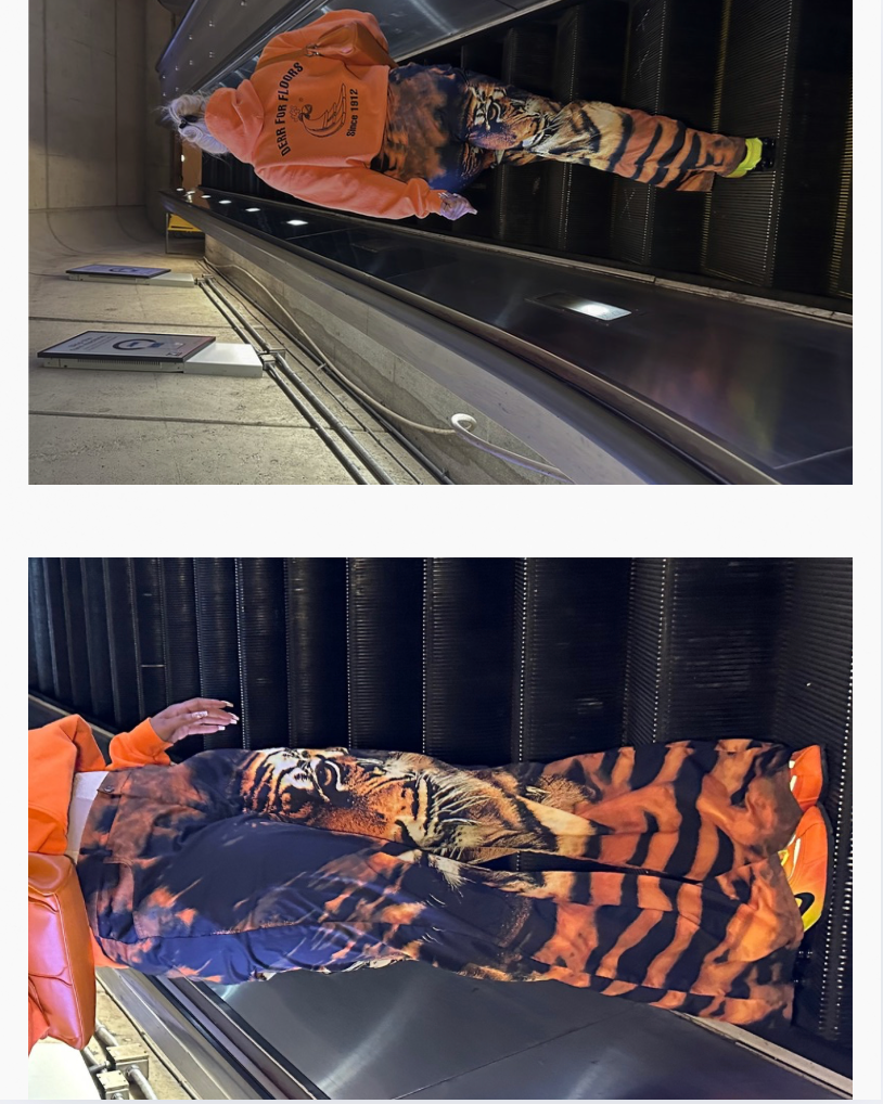 ROAR PANTS