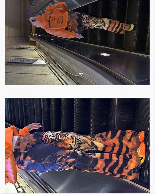 ROAR PANTS